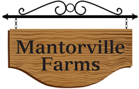 Mantorville Farms